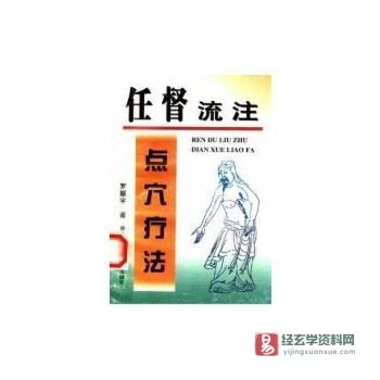 罗振宇著《任督流注点穴疗法》PDF电子书（227页）_易经玄学资料网