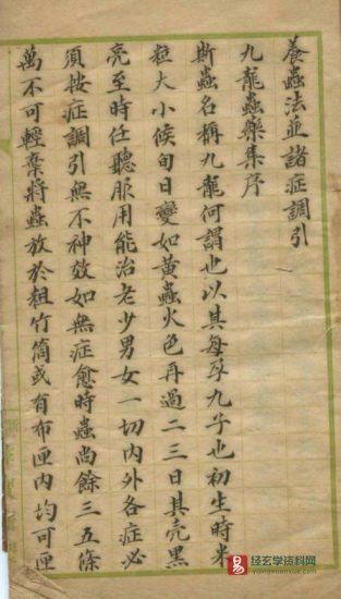 道家古籍《养蛊法》手抄本图片资料_易经玄学资料网