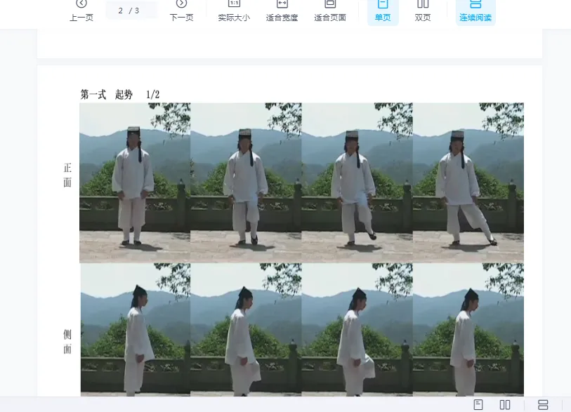 武当张三丰太极十三式－陈师行道长演示（视频15集）_易经玄学资料网