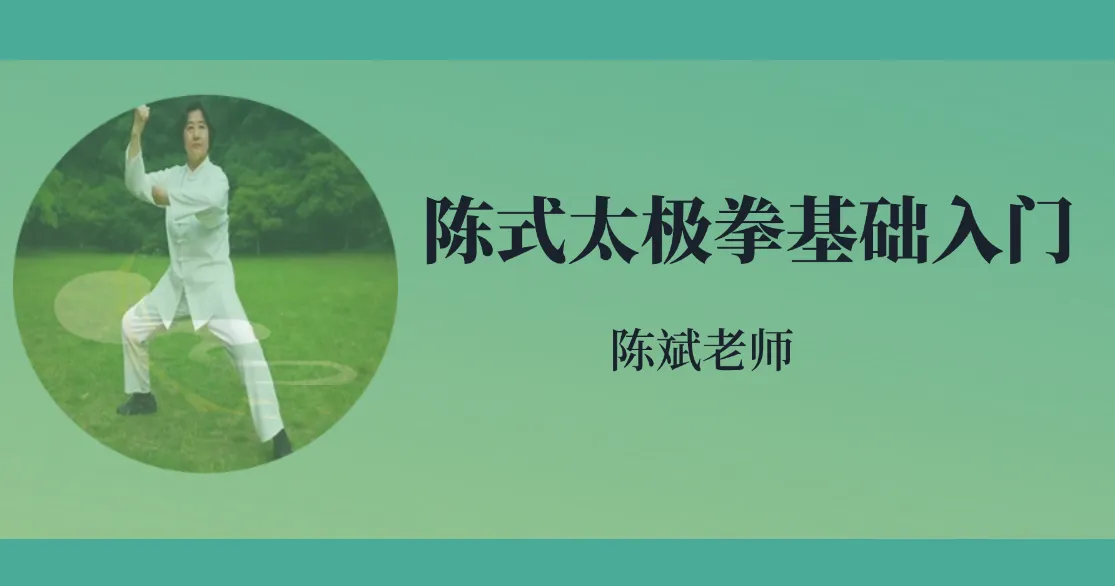 陈斌老师－陈式太极拳基础入门（视频2集）_易经玄学资料网