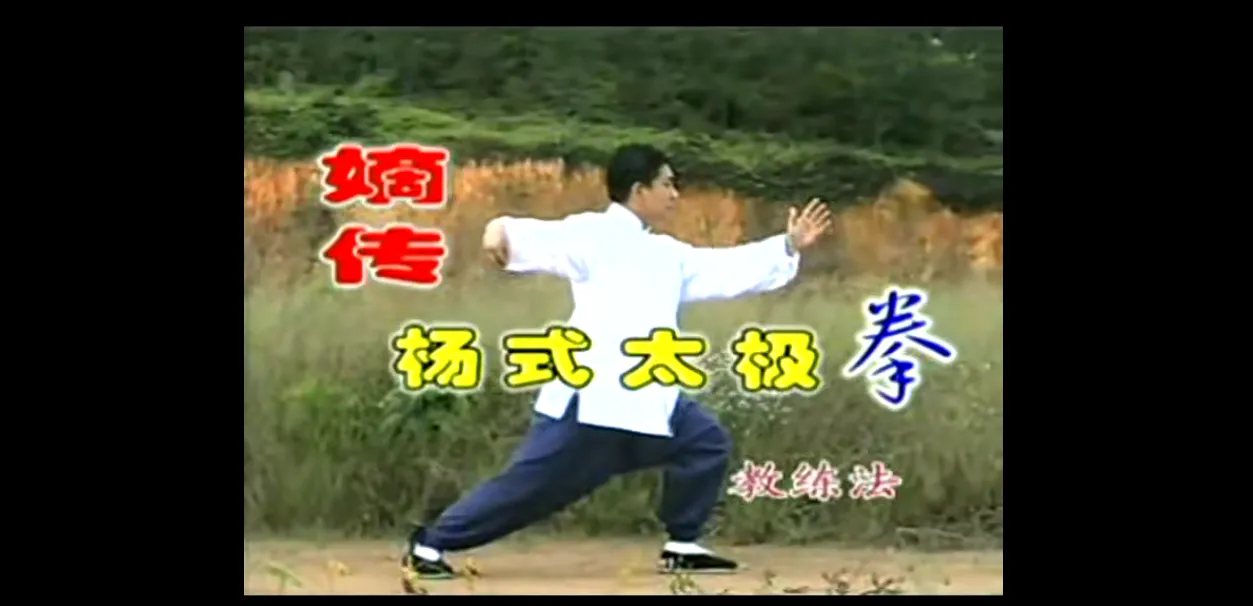 杨氏太极拳-嫡传杨式太极拳+85式杨氏太极拳+108式传统杨式太极拳教练法（视频16集）_易经玄学资料网