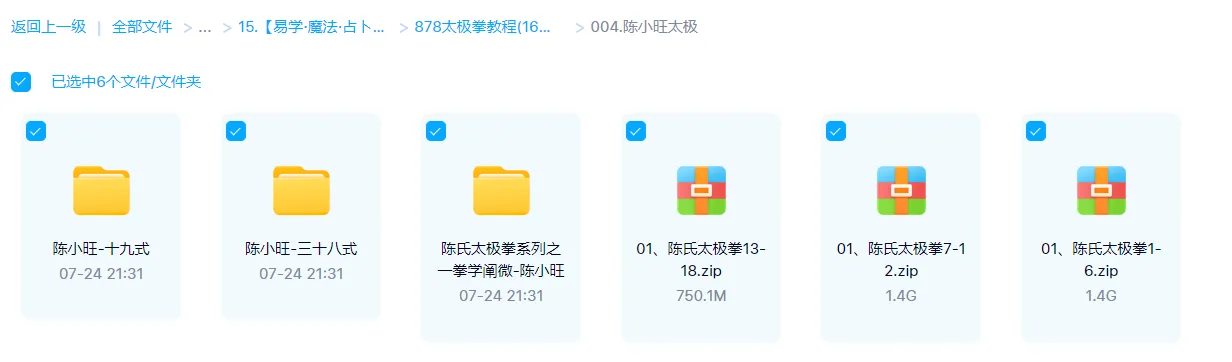 图片[1]_陈小旺-陈氏太极拳教学（视频21集）_易经玄学资料网