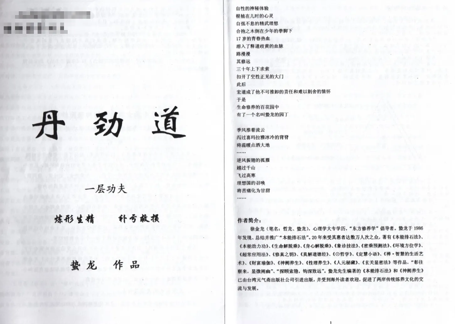 徐金龙（哲龙）－丹劲道三层功夫（视频3集+电子书3册）_易经玄学资料网