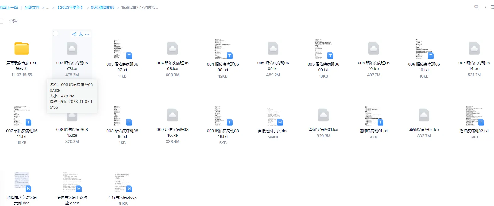 潘昭佑《八字调理疾病案例班》（视频9节+讲义资料）_易经玄学资料网