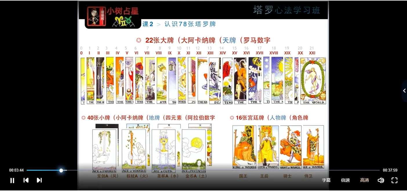 小树塔罗牌+猫六塔罗牌 牌意讲解（2套课程）_易经玄学资料网