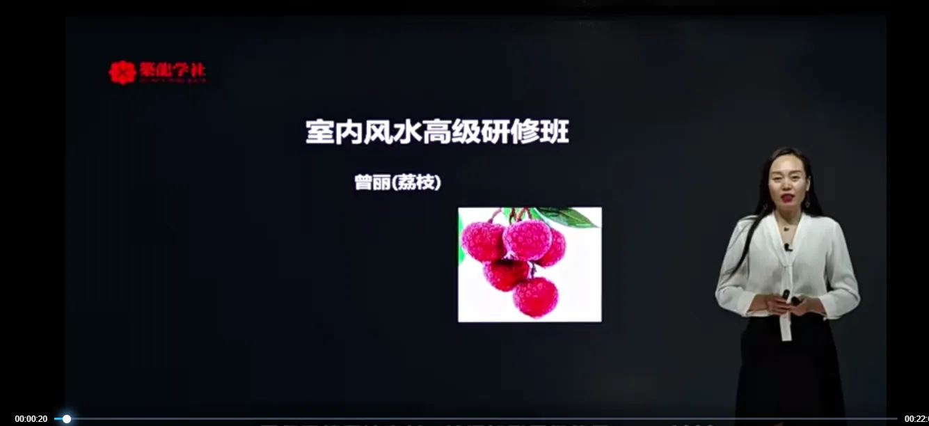 曾丽（荔枝）-室内风水高级研修班（视频20集）_易经玄学资料网