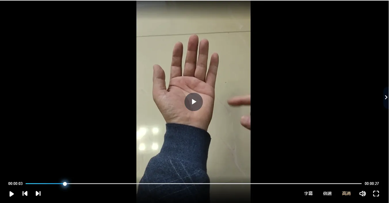 华山派马兴宇天罡符法治病（视频1集+符图集）_易经玄学资料网