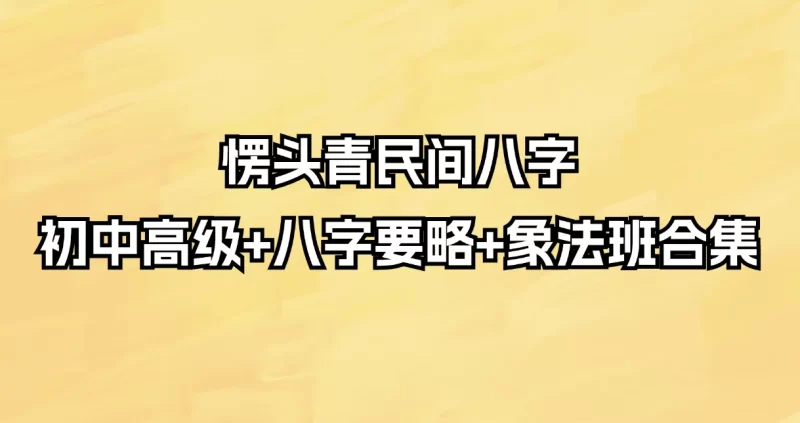 愣头青民间八字初中高级+八字要略+象法班合集_易经玄学资料网
