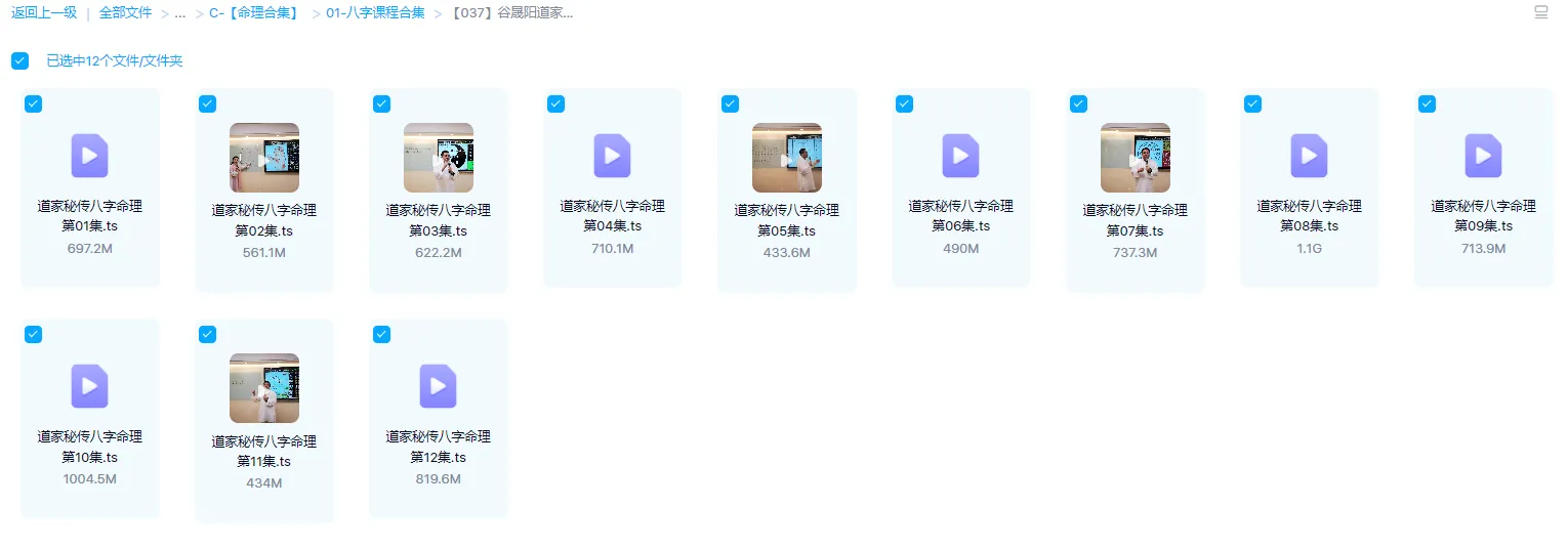 图片[1]_谷晟阳道家秘传八字命理面授课程（视频12集）_易经玄学资料网