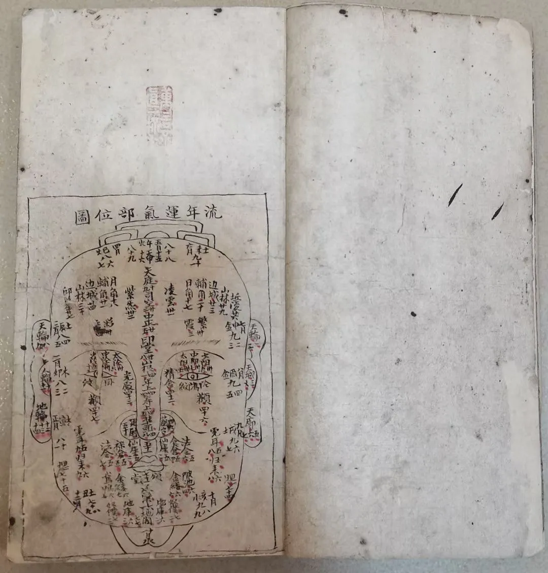 图片[3]_【拼书】面相相术古书《相法精微》抄本PDF电子书（234页）_易经玄学资料网