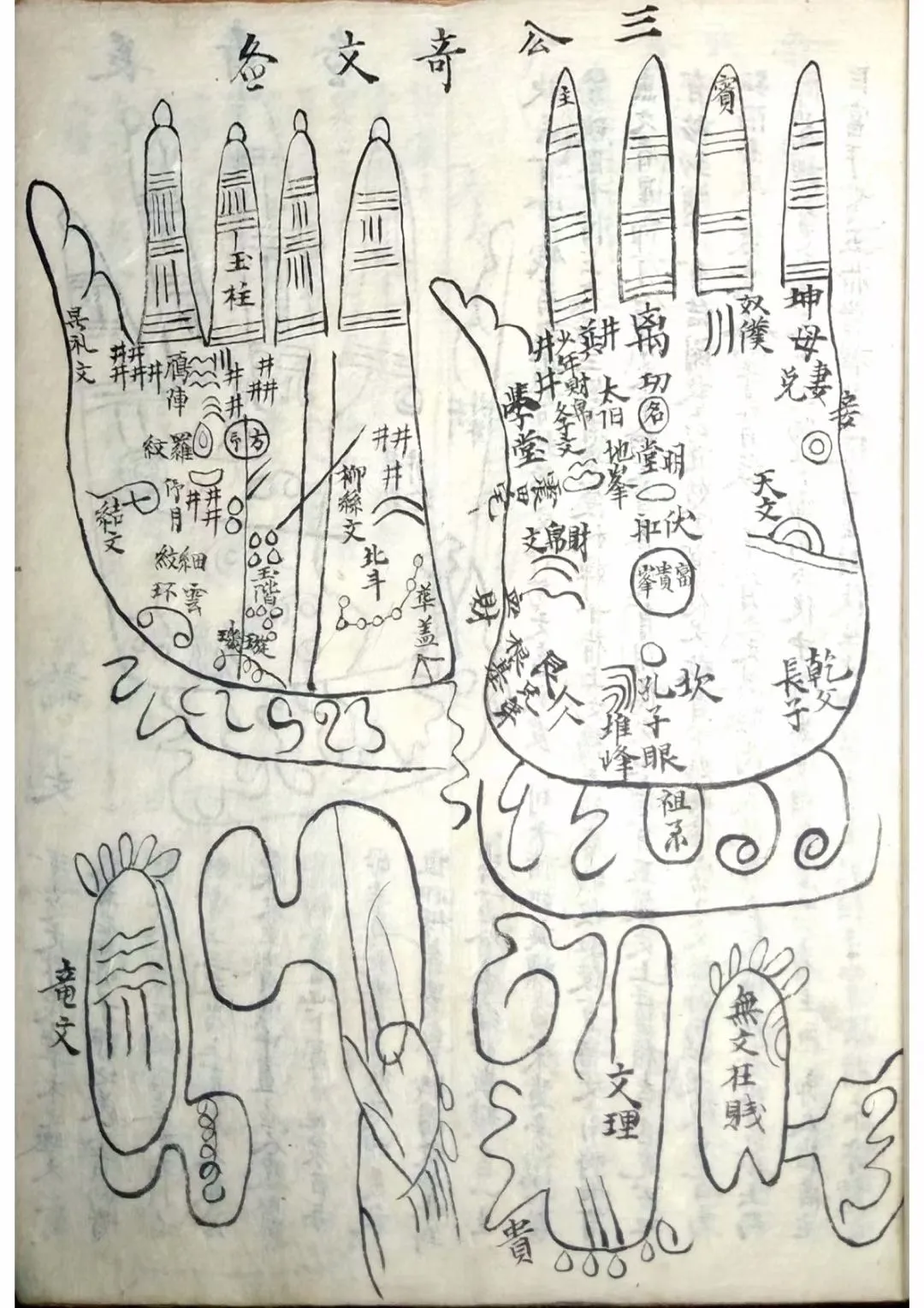 图片[7]_【拼书】面相手相古书《民间相书》高清完整版PDF电子书（74页）_易经玄学资料网