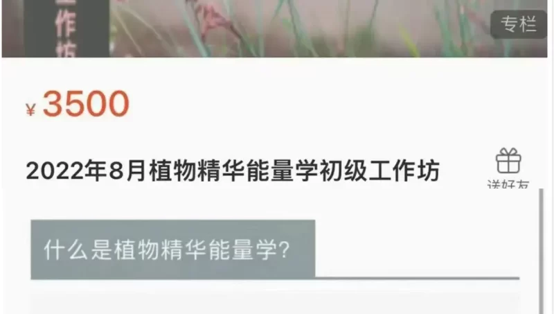植物精华能量学初级工作坊2022年8月_易经玄学资料网