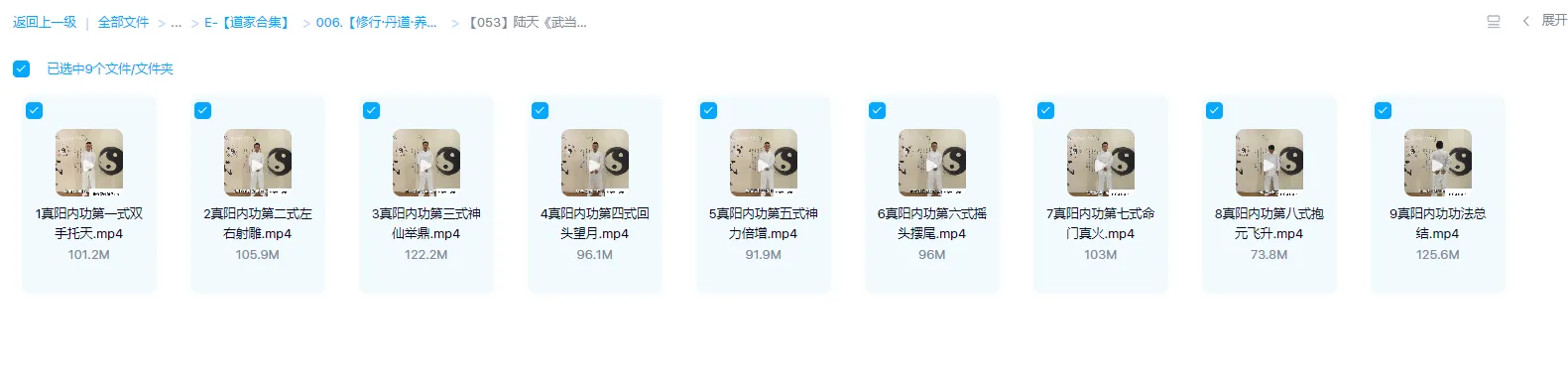 图片[1]_陆天《武当长生门真阳秘功》视频9集_易经玄学资料网