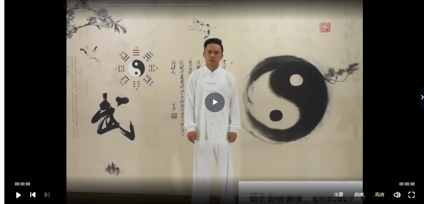 陆天《武当长生门真阳秘功》视频9集_易经玄学资料网