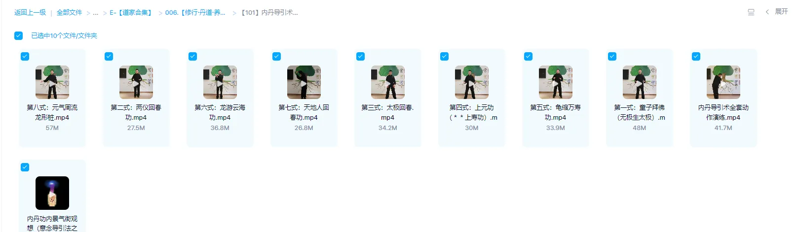 图片[2]_内丹导引术—扶阳聚气系列课程（视频10集）_易经玄学资料网