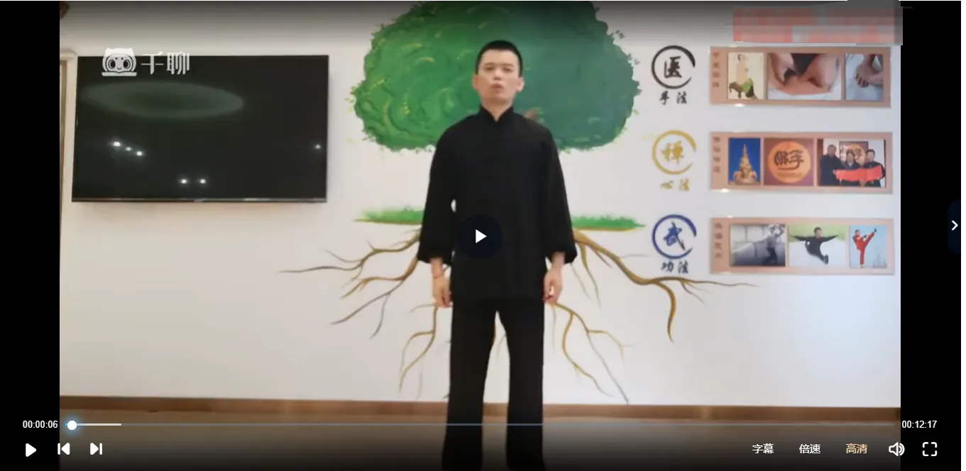 图片[3]_内丹导引术—扶阳聚气系列课程（视频10集）_易经玄学资料网