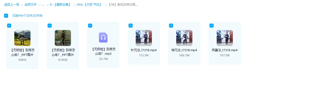 图片[1]_李氏古传太极系列【无极桩】（视频3集+音频1集）_易经玄学资料网