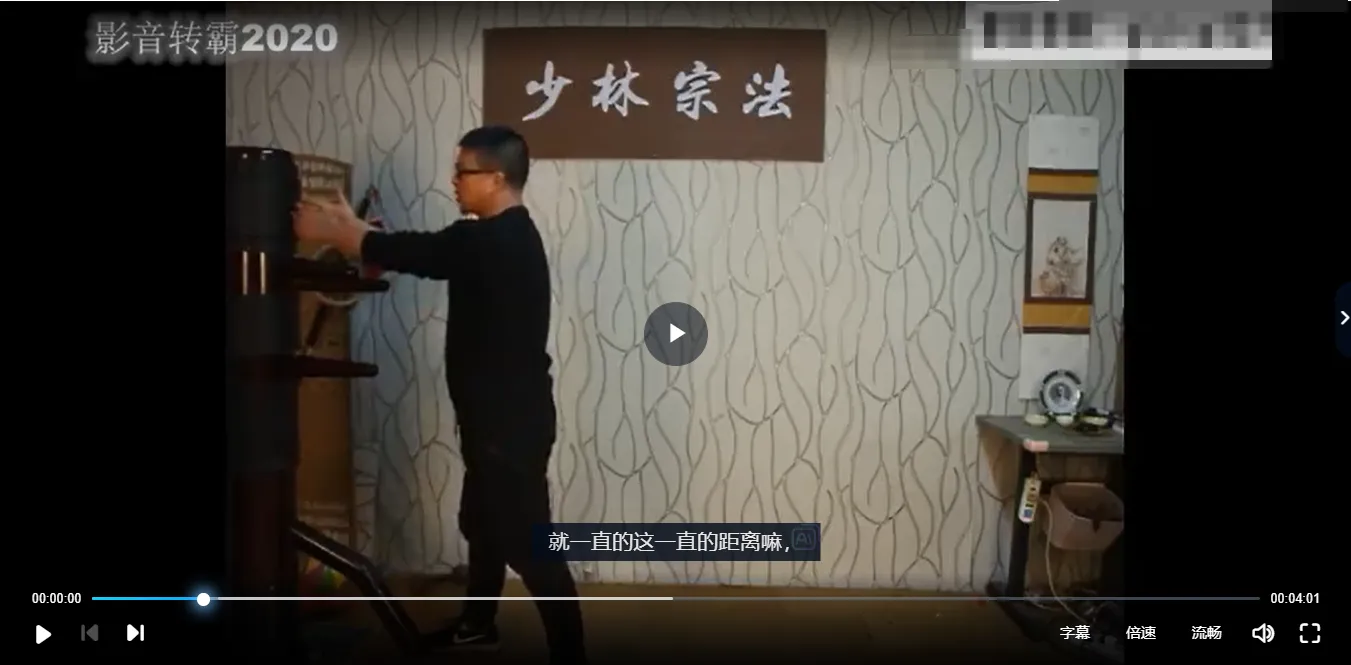 万千形意拳印掌（视频14集）_易经玄学资料网