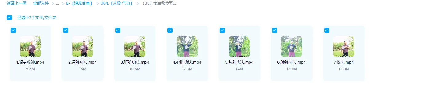 图片[2]_武当秘传五行功法（视频7集）_易经玄学资料网