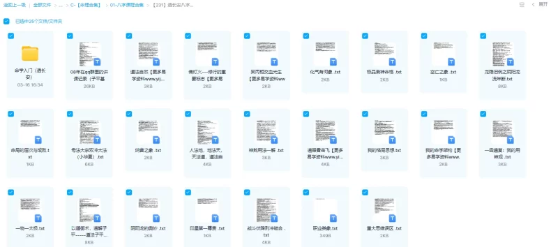 透长安八字网络仅存文档33份文档_易经玄学资料网