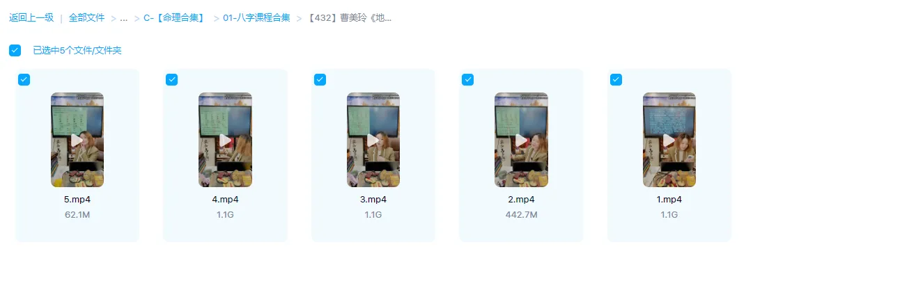 图片[1]_曹美玲《地支刑冲破穿绝详情应事及化解》（视频5集）_易经玄学资料网