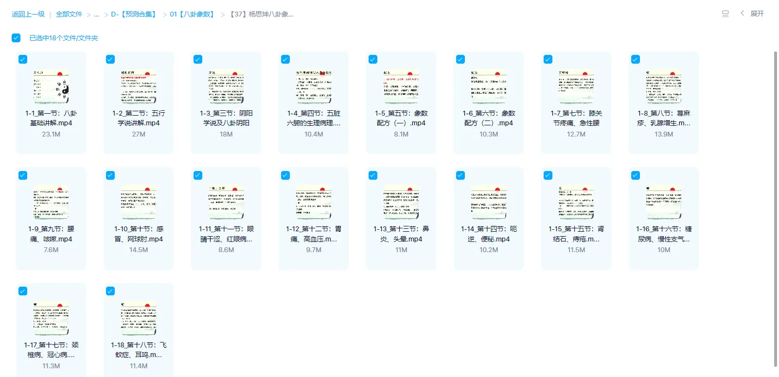 图片[1]_杨思坤-八卦象数疗法系列网课（视频18集）_易经玄学资料网