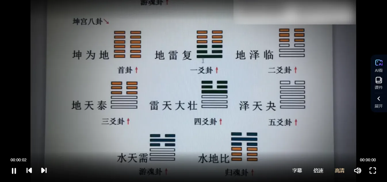 王政《皇极梅花六爻基础课程》（视频23集）_易经玄学资料网