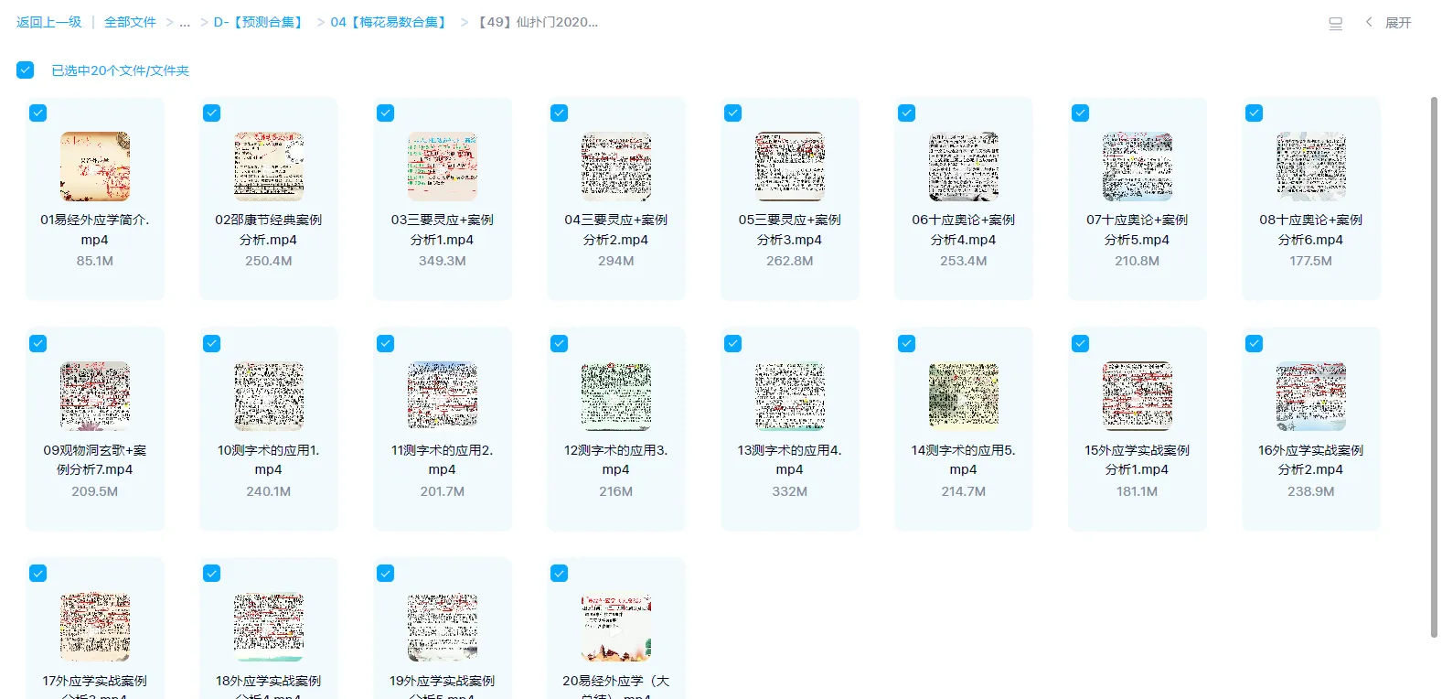 图片[1]_仙扑门2020年梅花外应-含测字术应用讲解（视频20集）_易经玄学资料网