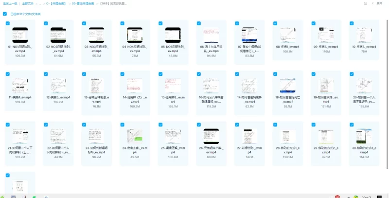 癸亥苏氏盲派命理课程_易经玄学资料网