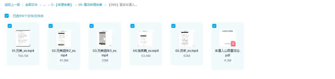 图片[1]_盲派丰道人-盲派八字讲座（视频5集+PDF电子书）_易经玄学资料网
