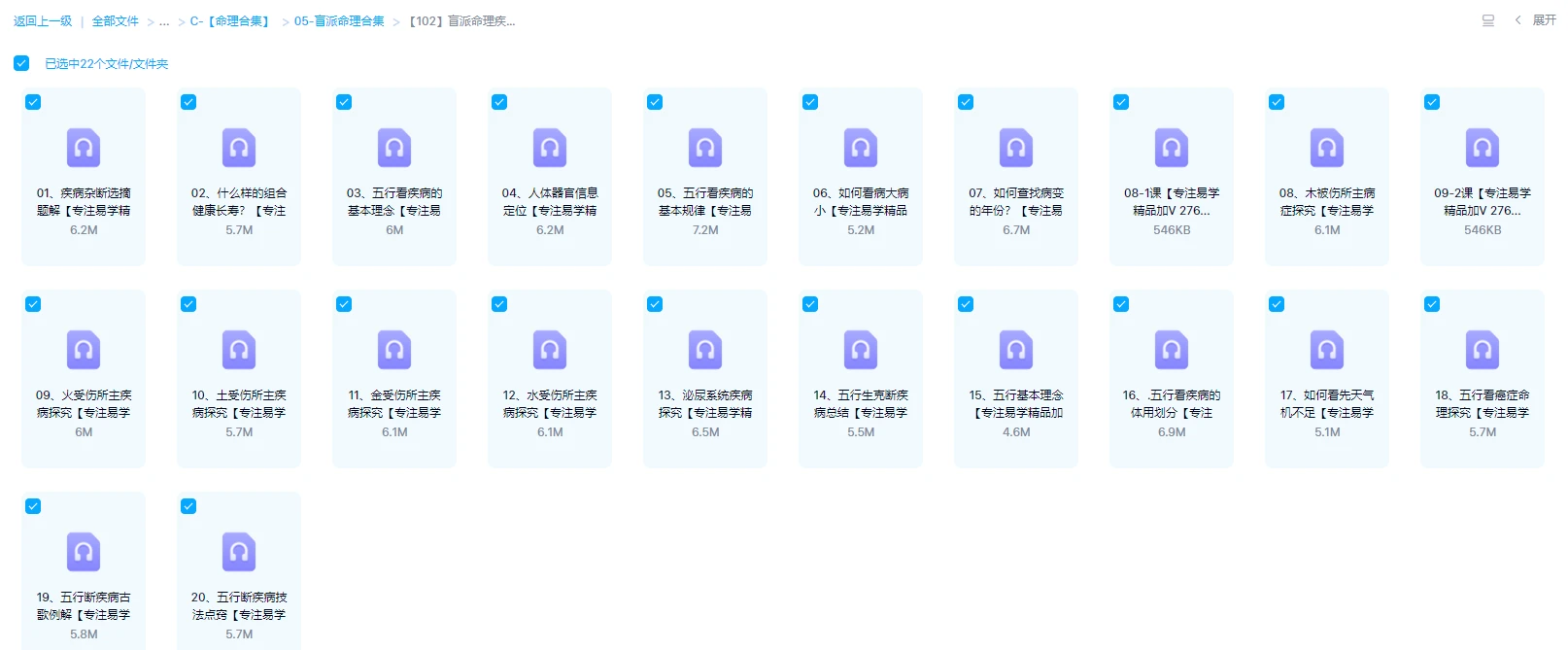 图片[1]_盲派命理疾病断法秘诀专题内部录音课（音频20集）_易经玄学资料网