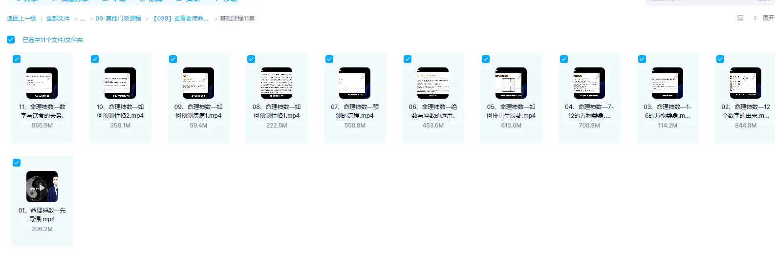 图片[2]_玄青老师命理神数（初级+高级）视频42集_易经玄学资料网