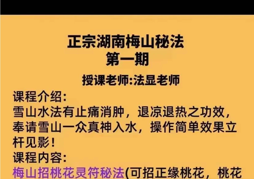 法显老师《正宗湖南梅山秘法》_易经玄学资料网