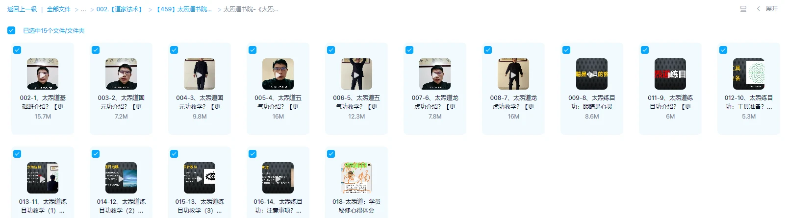图片[3]_太炁道书院《太炁道秘修班》（视频33集）_易经玄学资料网