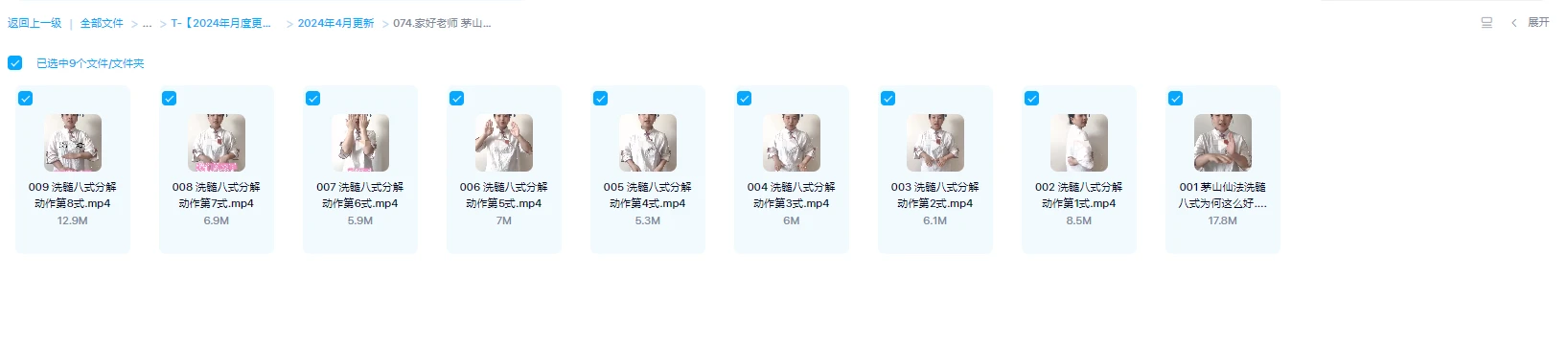 图片[1]_家好老师《茅山仙法洗髓八式》视频9集_易经玄学资料网