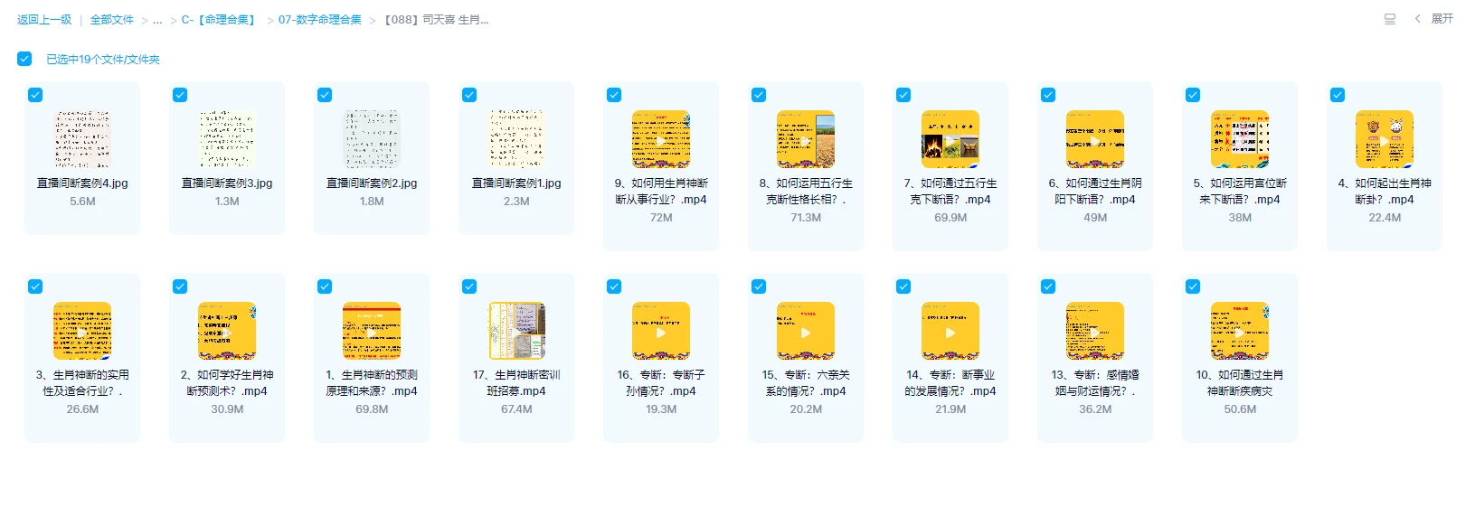 图片[1]_司天喜《生肖神断精华班》视频17集_易经玄学资料网