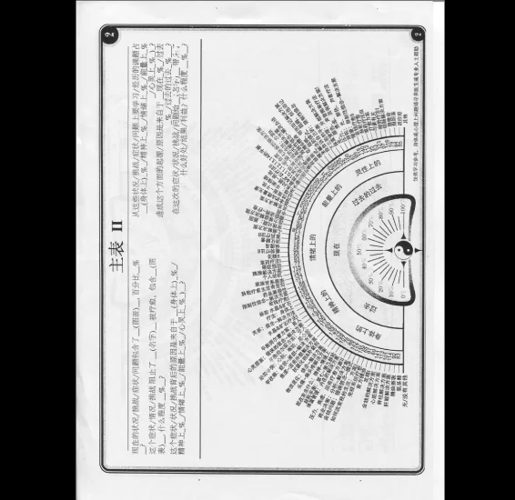 《灵摆第二版》PDF电子书_易经玄学资料网