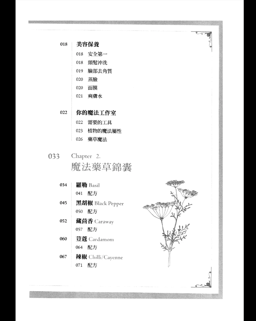 图片[4]_《女巫安娜的魔藥草配方書》PDF电子书（272页）_易经玄学资料网