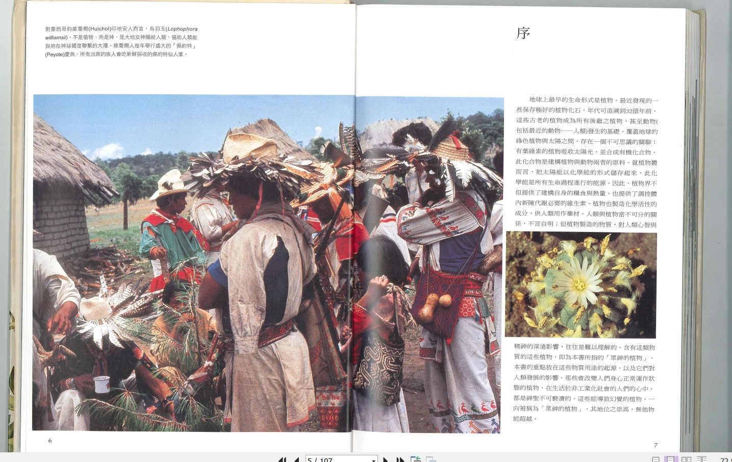 图片[4]_《众神的植物》PDF电子书（107页）_易经玄学资料网