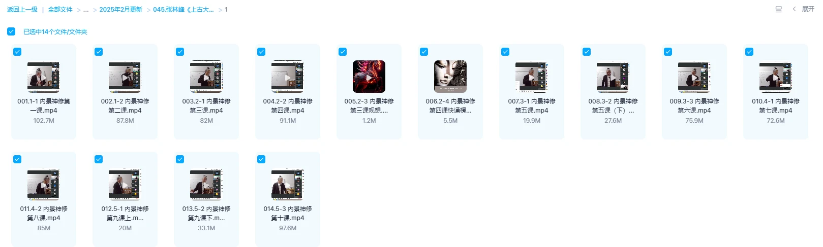 图片[1]_张林峰《上古大道之内景修炼神修丹法薪传》视频直播课（视频14集）_易经玄学资料网