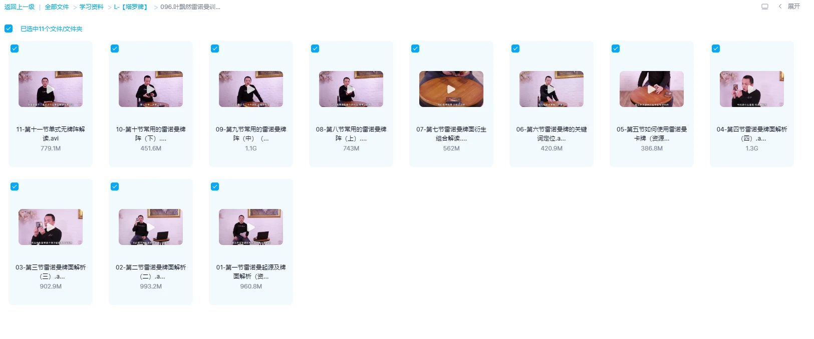 图片[1]_叶飘然雷诺曼训练营视频（视频11集）_易经玄学资料网