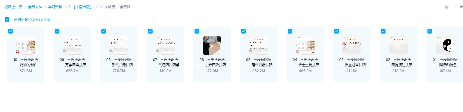 图片[1]_车鸿儒《全真派三步扶阳疗法》（视频10集）_易经玄学资料网