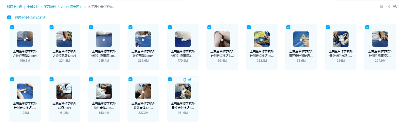 图片[1]_王震生带你学软外之诊断思路与针刺技巧（视频15集）_易经玄学资料网