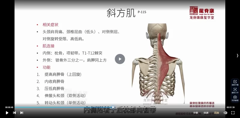 李建民软组织徒手治疗_肩肘腕_髋膝踝线上课_易经玄学资料网