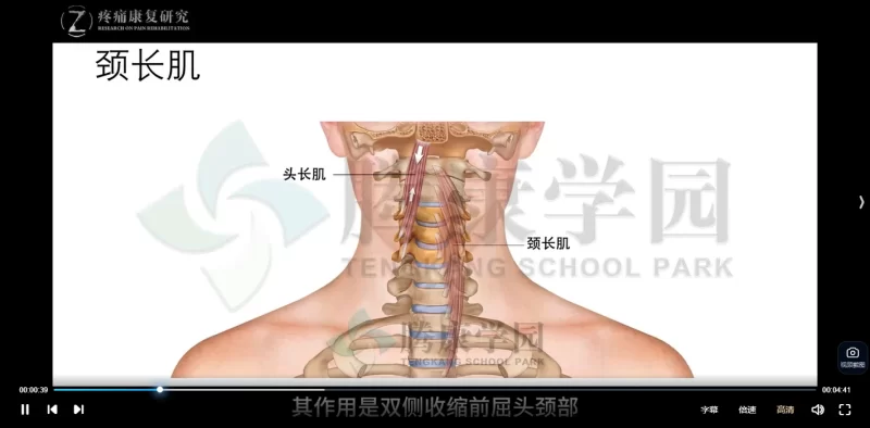 腾康学园异常姿势的解剖评估与治疗系列课程_易经玄学资料网