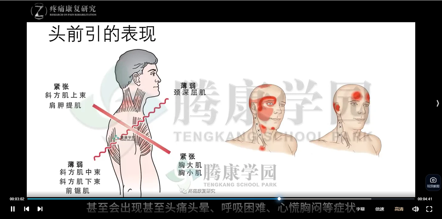图片[3]_腾康学园异常姿势的解剖评估与治疗系列课程（视频35讲）_易经玄学资料网