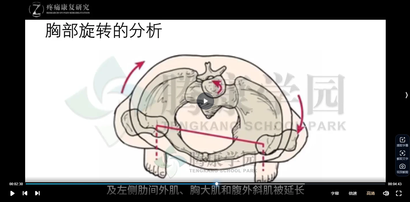 图片[4]_腾康学园异常姿势的解剖评估与治疗系列课程（视频35讲）_易经玄学资料网
