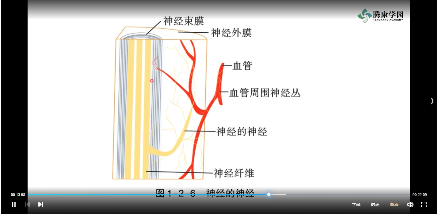 图片[4]_徐高磊肌骨疼痛检查评估系列课程（视频75讲）_易经玄学资料网