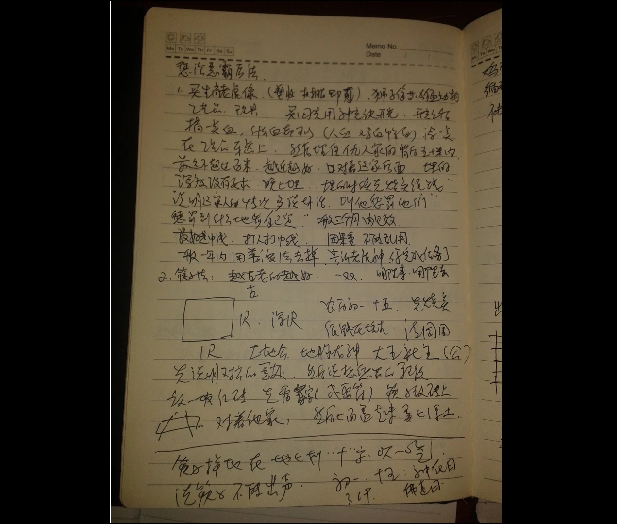 图片[3]_《神光灵通法门》教材+手写笔记3册PDF_易经玄学资料网