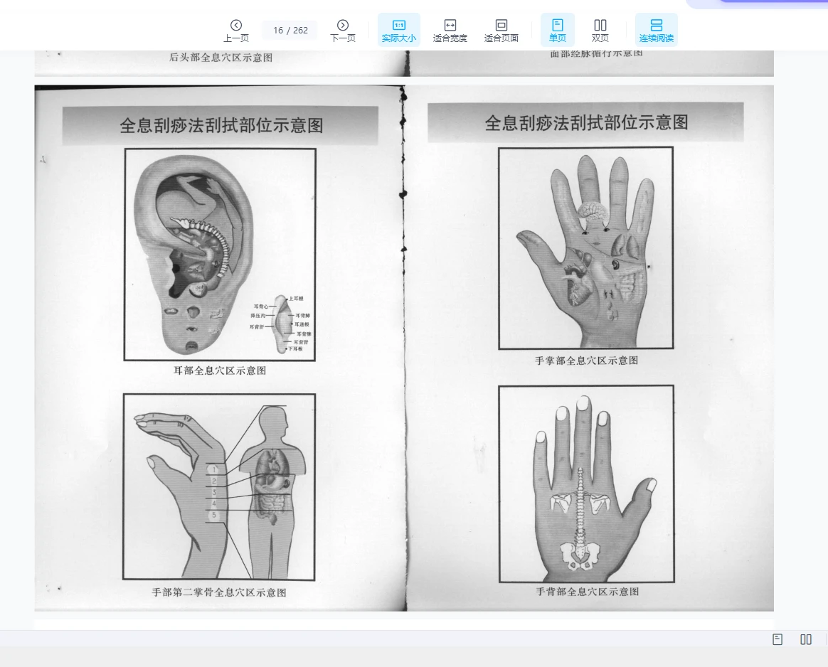 图片[3]_《全息经络刮痧法》PDF电子书_易经玄学资料网
